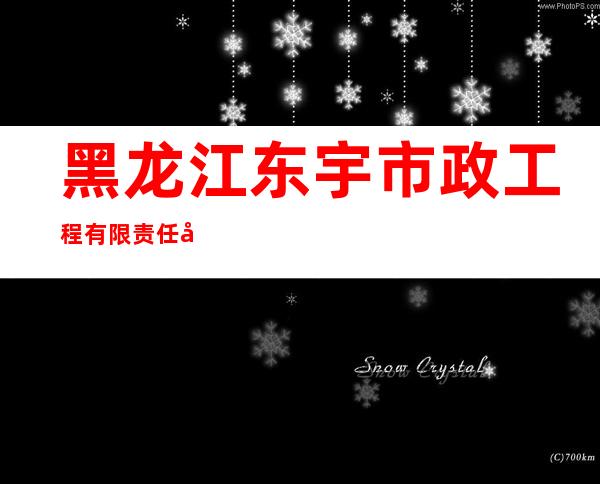 黑龙江东宇市政工程有限责任公司