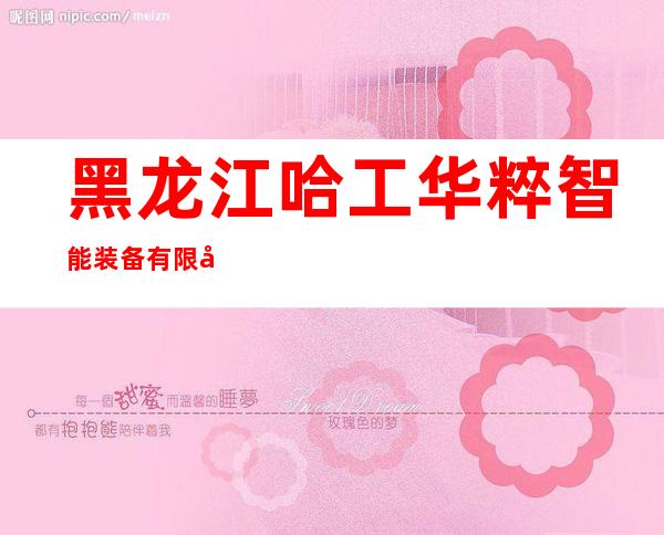 黑龙江哈工华粹智能装备有限公司