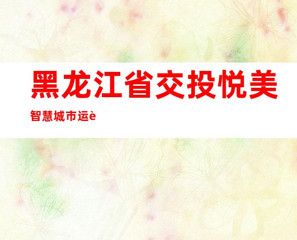 黑龙江省交投悦美智慧城市运营服务有限公司