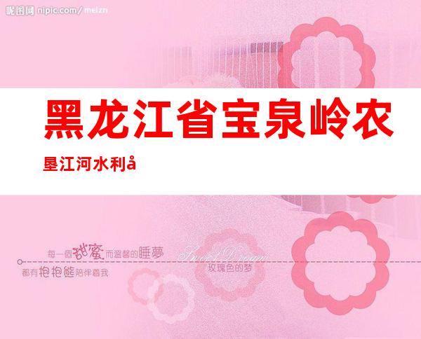 黑龙江省宝泉岭农垦江河水利工程有限责任公司