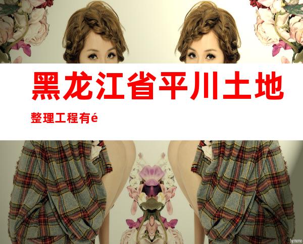 黑龙江省平川土地整理工程有限公司