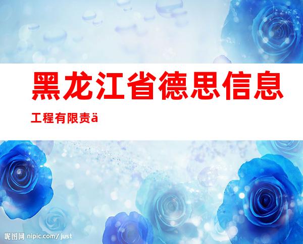 黑龙江省德思信息工程有限责任公司