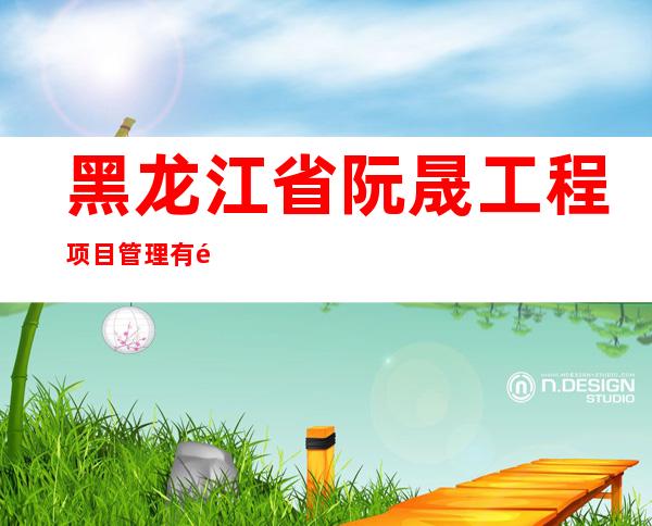 黑龙江省阮晟工程项目管理有限公司