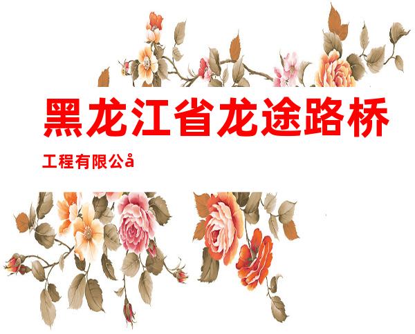 黑龙江省龙途路桥工程有限公司