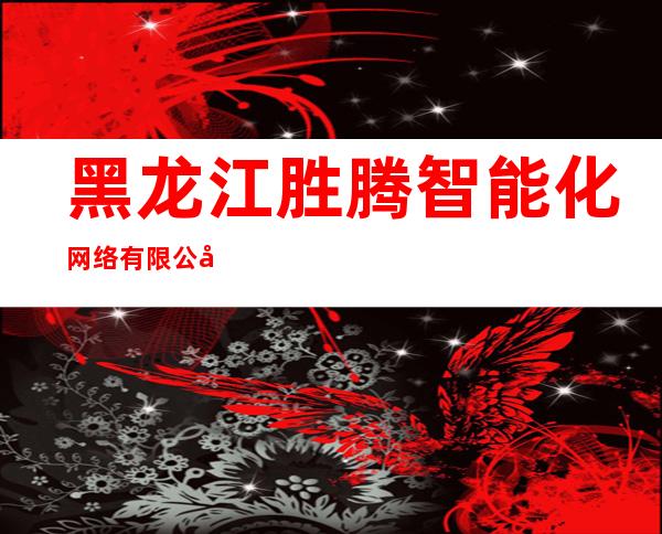 黑龙江胜腾智能化网络有限公司