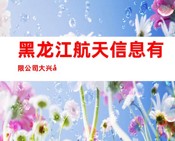 黑龙江航天信息有限公司大兴安岭分公司