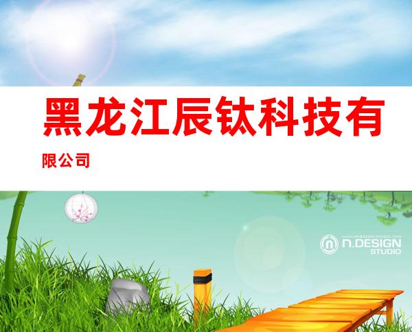 黑龙江辰钛科技有限公司