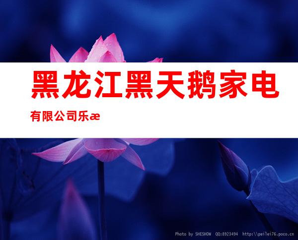 黑龙江黑天鹅家电有限公司乐松分公司
