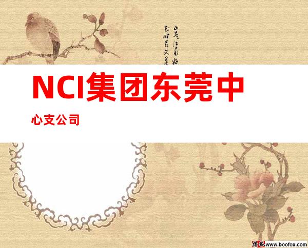 NCI集团东莞中心支公司