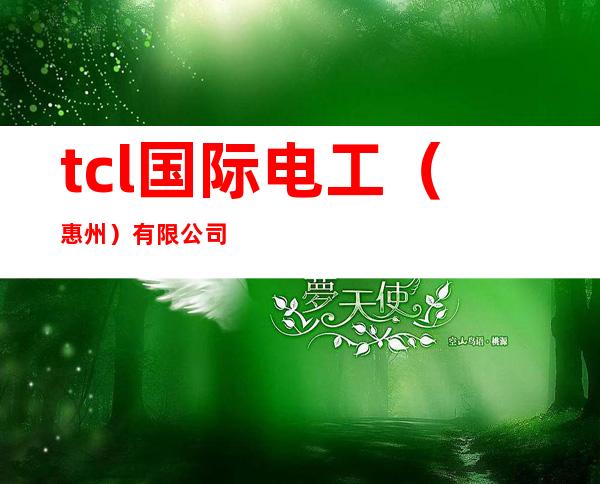 tcl国际电工（惠州）有限公司
